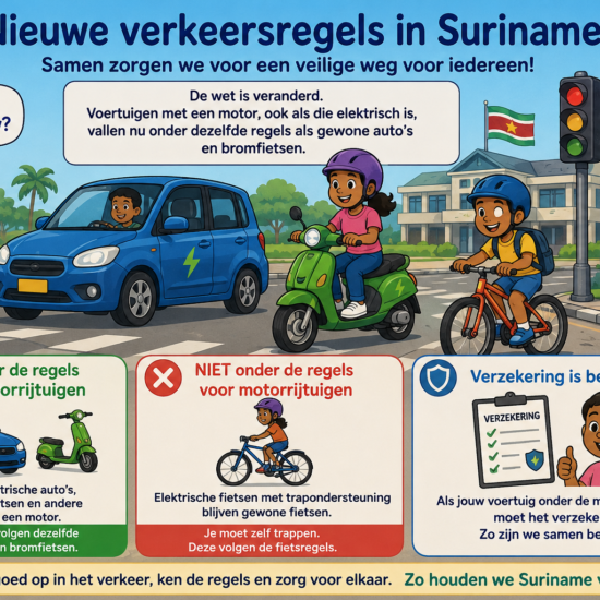 EEN ELEKTRISCH VOERTUIG: WAT ZEGT DE WET NU?